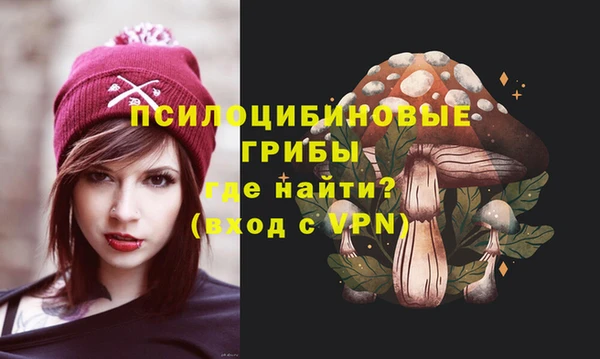 стафф Заволжье