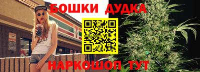 ALPHA PVP Бийск