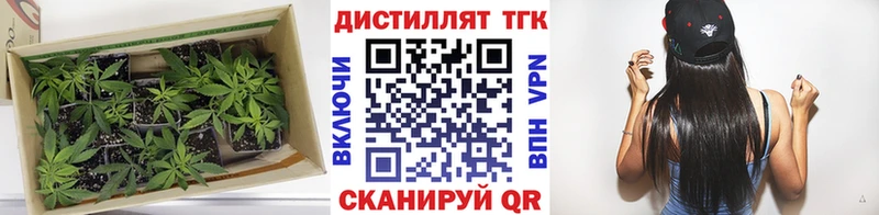 Дистиллят ТГК жижа  купить   Магадан 