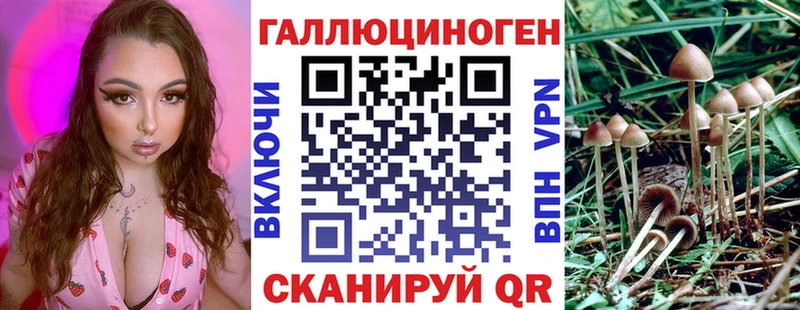 Галлюциногенные грибы прущие грибы  наркотики  Магадан 