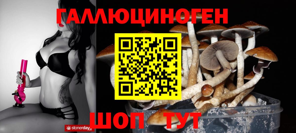 Магадан  Галлюциногенные грибы Psilocybine cubensis  Вход с VPN  Галлюциногенные грибы прущие грибы 